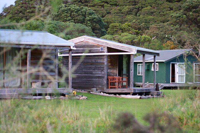 Overnight Experience Tour on Kapiti Island - The Itinerary in Detail