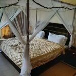 Overnight Group Joining Safari to Amboseli from Nairobi - Authentic Insights from Travelers