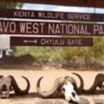 Overnight Private Safari to Severin Camp from Mombasa - Exploring the Itinerary: What to Expect