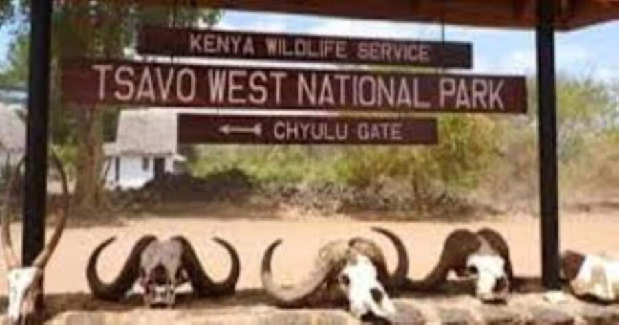 Overnight Private Safari to Severin Camp from Mombasa - Exploring the Itinerary: What to Expect