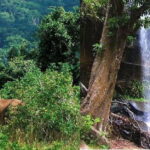 Overnight Safari to Shimba hills from Mombasa - The Sum Up