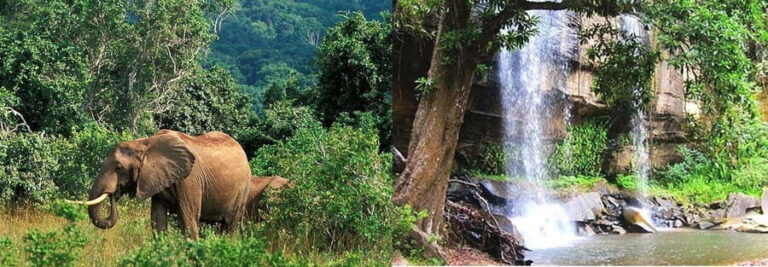 Overnight Safari to Shimba hills from Mombasa - The Sum Up