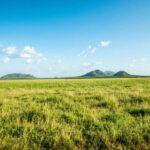 Overnight safari to Tsavo East from Mombasa - Detailed Breakdown of the Tour Experience