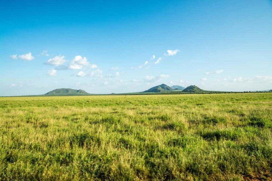 Overnight safari to Tsavo East from Mombasa - Detailed Breakdown of the Tour Experience