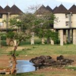 Overnight saltlick Safari from Mombasa - The Sum Up: Who Will Love This Safari?