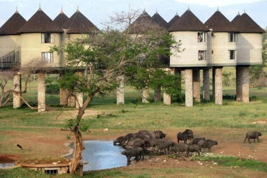 Overnight saltlick Safari from Mombasa - The Sum Up: Who Will Love This Safari?