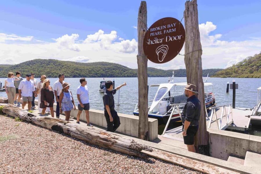Oyster & Pearl Lovers Tour - The Breakdown: What to Expect on the Oyster & Pearl Lovers Tour