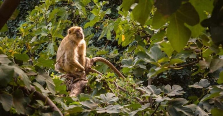 Ozoud day tour from marrakesh - The Journey Begins: From Marrakesh to Ozoud