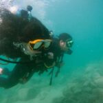 Padi Open Water Course With Elearning - The Practical Side: What Makes This Course Value-Driven