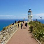 Paihia: Cape Reinga and Ninety Mile Beach Trip with Lunch - Who Would Love This Tour?