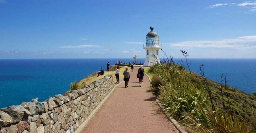 Paihia: Cape Reinga and Ninety Mile Beach Trip with Lunch - Who Would Love This Tour?