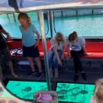Paihia: Glass Bottom Boat Tour to the Hole in the Rock - Itinerary Breakdown and Highlights