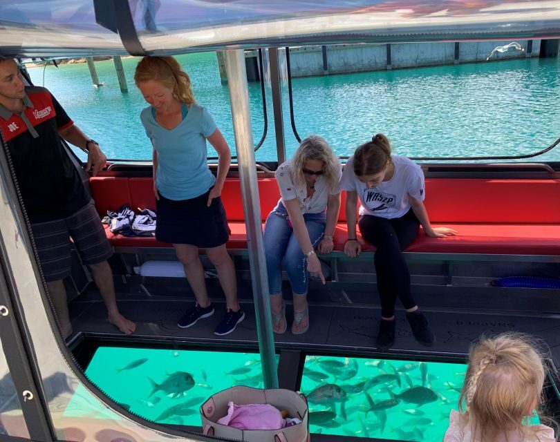 Paihia: Glass Bottom Boat Tour to the Hole in the Rock - Itinerary Breakdown and Highlights