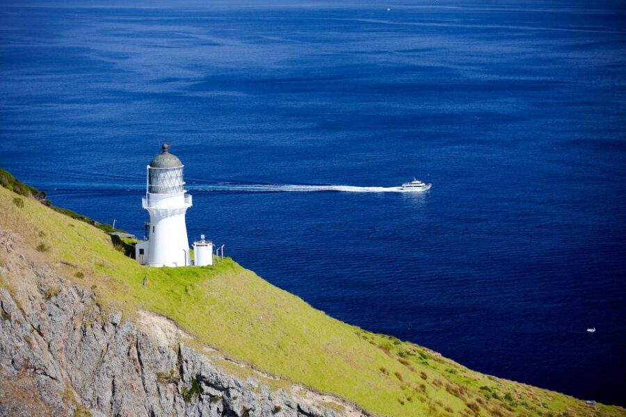 Paihia/Russell: Hole in the Rock and Bay of Islands Cruise - The itinerary explained