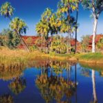 Palm Valley 4WD Tour from Alice Springs - The Journey into Palm Valley and Beyond