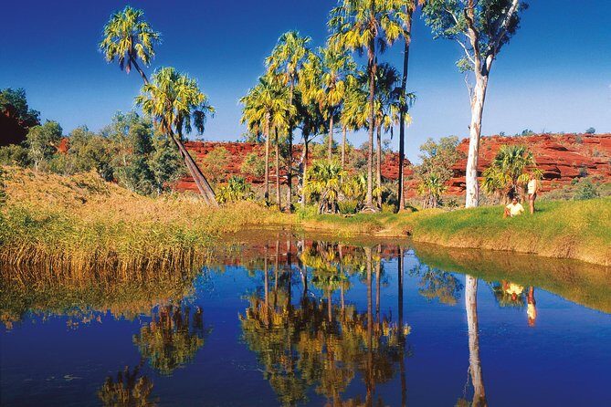 Palm Valley 4WD Tour from Alice Springs - The Journey into Palm Valley and Beyond