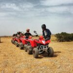 Palmeraie Marrakech Camel Ride & Quad Bike Package Exprience - The Experience: A Day in the Palm Groves