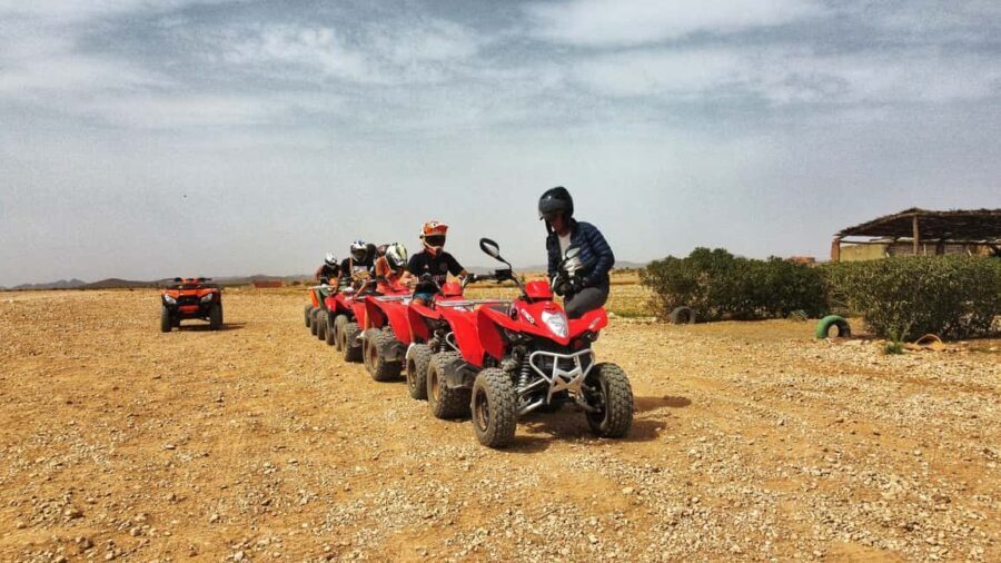 Palmeraie Marrakech Camel Ride & Quad Bike Package Exprience - The Experience: A Day in the Palm Groves