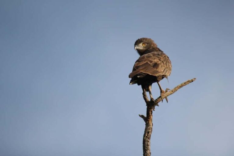 Panorama Route - Itinerary Breakdown and Attractions