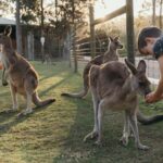 Paradise Country: Ultimate Aussie Farm Experience - Does It Offer Good Value?