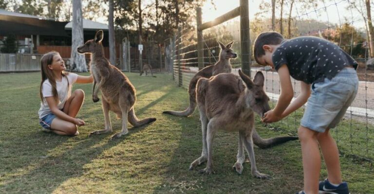 Paradise Country: Ultimate Aussie Farm Experience - Does It Offer Good Value?