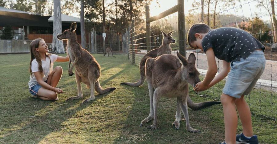 Paradise Country: Ultimate Aussie Farm Experience - Does It Offer Good Value?