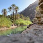 Paradise Valley With Quad Biking and Camel Ride Experience - Practical Details and Tips