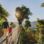 Paronella Park and Mamu Tropical Skywalk Ticket Combo - Mamu Tropical Skywalk: A Walk Among the Canopy