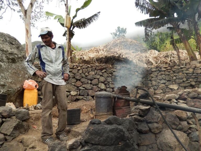 Paúl hike, the green garden - Tasting Local Flavors and Spirits