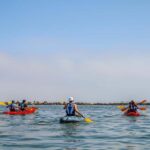 Pelican Point: Kayak with Seals Experience - Frequently Asked Questions
