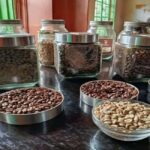 Pemba: Coffee Farm and Flower Garden Tour - Who Will Love This Tour?