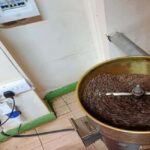 Pemba: Coffee Farm Tour with Tasting and Snacks - Exploring the Details of the Pemba Coffee Farm Tour