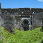 Pemba Island: Chake Chake and Mkama Ndume Tour - Practical Details & Value
