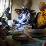 Pemba Island: Kojani Island and Mnarani Ruins Tour - Discovering the Mnarani Ruins: A Glimpse of History