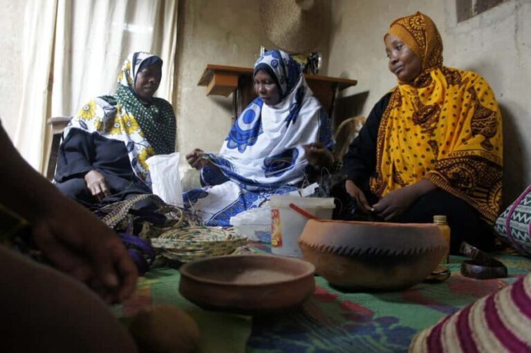 Pemba Island: Kojani Island and Mnarani Ruins Tour - Discovering the Mnarani Ruins: A Glimpse of History