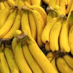 Pemba Island: Spice Farm, Chake Chake, and Pujini Tour - Practical Details: What to Expect