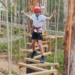 Pemberton: 1 Hour Explorer Pass with Ziplines and High Ropes - Who Would Enjoy This Experience?