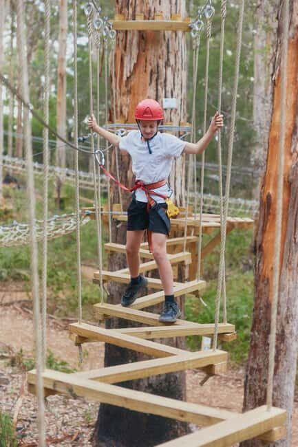 Pemberton: 1 Hour Explorer Pass with Ziplines and High Ropes - Who Would Enjoy This Experience?