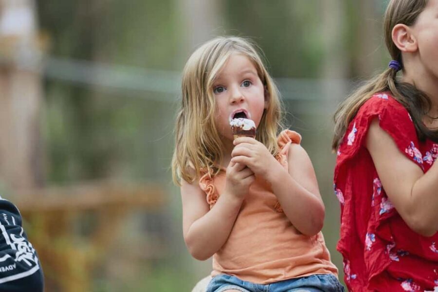 Pemberton: 40 minute Kookies Pass with Zip Lines & Low Ropes - What to Expect During Your 40 Minutes