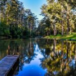 Pemberton: Secret Picnic Adventure with Digital Clues - The Sum Up