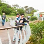 Penguin Parade: General Viewing Ticket - An In-Depth Look at the Penguin Parade Experience