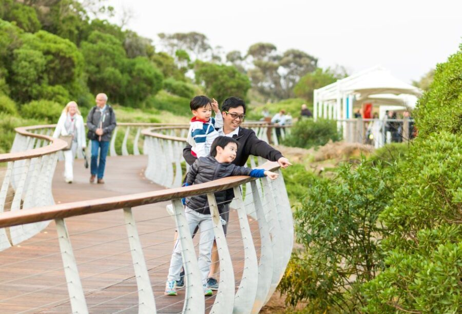 Penguin Parade: General Viewing Ticket - An In-Depth Look at the Penguin Parade Experience
