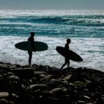 Penguins at Boulders and Cape Point experience - Why This Tour Offers Great Value