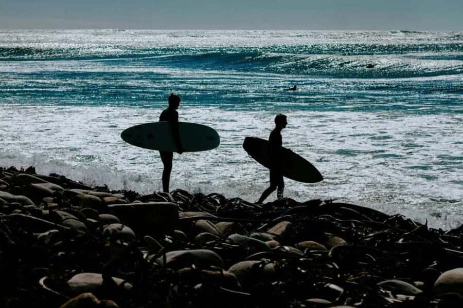 Penguins at Boulders and Cape Point experience - Why This Tour Offers Great Value