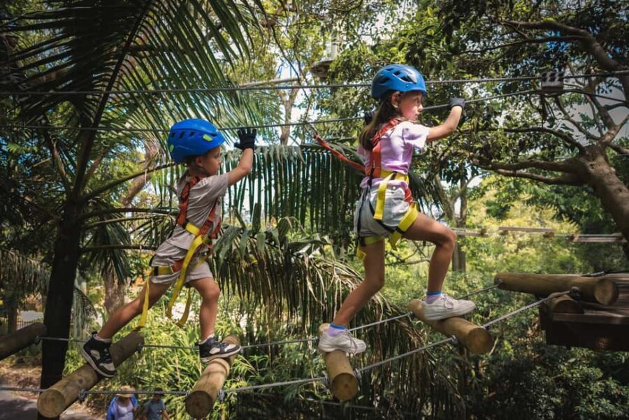 Pennant Hills: Junior Tree Ropes Course - Practical Tips for Visiting