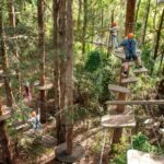 Pennant Hills: Tree Ropes Course Session - Exploring the Treetops Adventure Experience