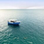 Penneshaw: Kangaroo Island Ultimate Adventure Tour - What’s Included and What to Prepare