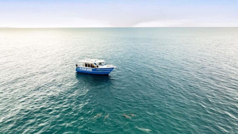 Penneshaw: Kangaroo Island Ultimate Adventure Tour - What’s Included and What to Prepare