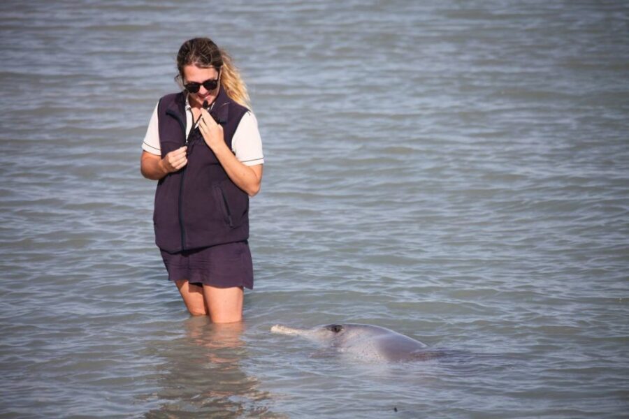 Perth: 7 Day Exmouth Explorer & Ningaloo Reef Return Perth - What Makes This Tour Stand Out
