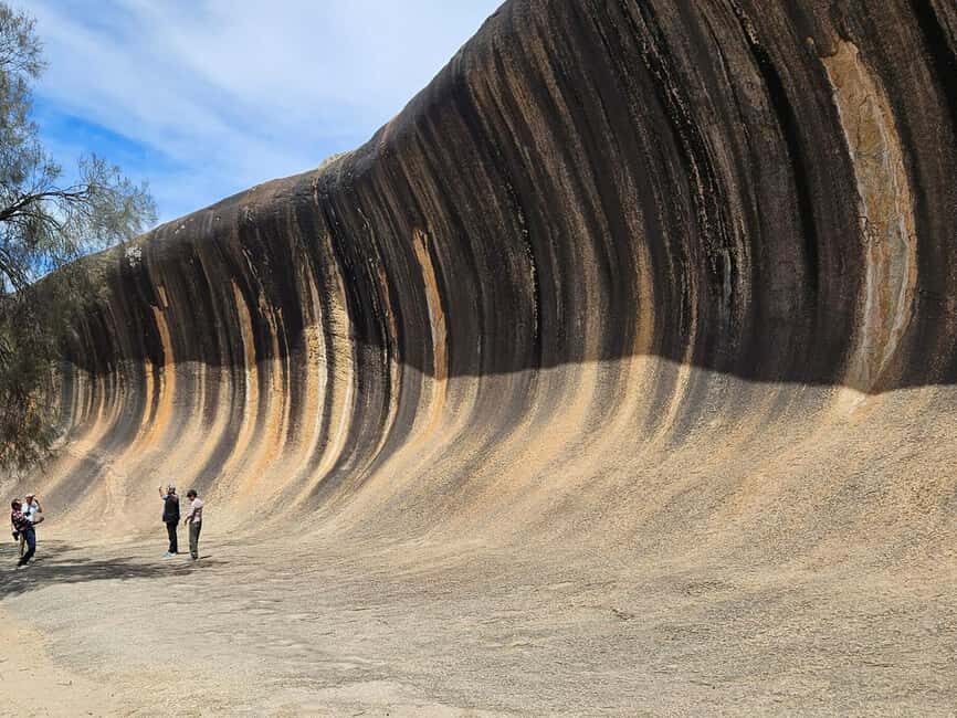 Perth: 7-Day Rottnest Island Tour Package with Accommodation - Day 2: Pinnacles, Koalas, and Sandboarding